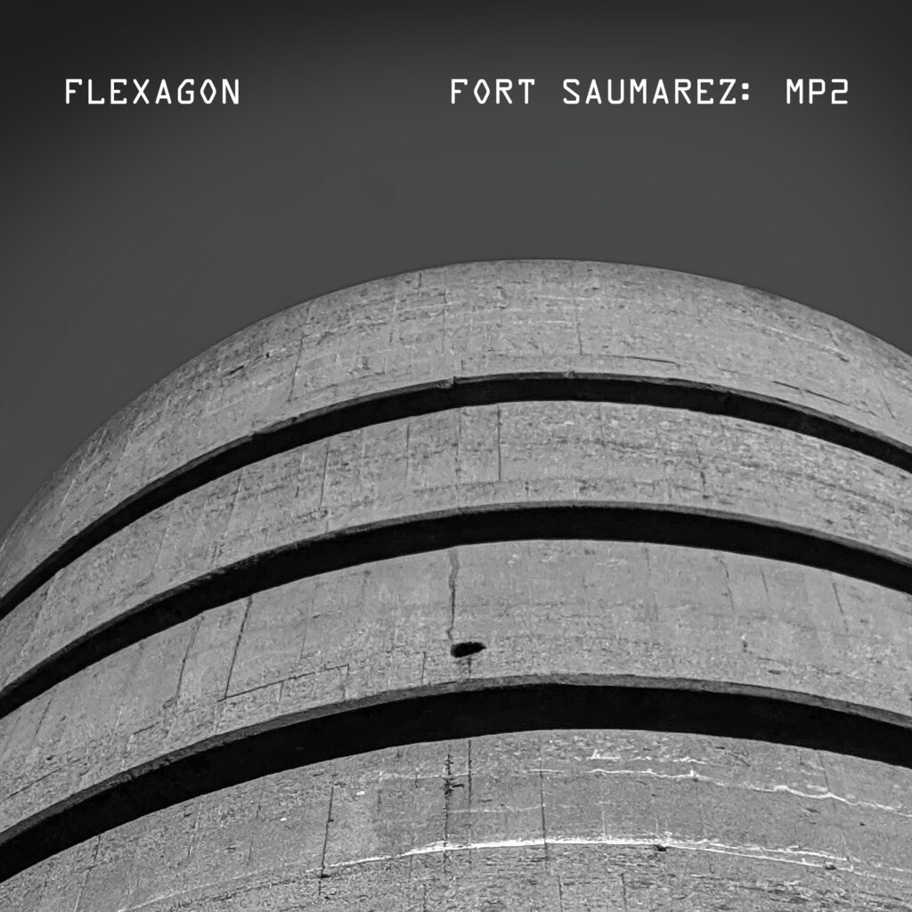Flexagon discography. Fort Saumarez: MP2 single artwork.