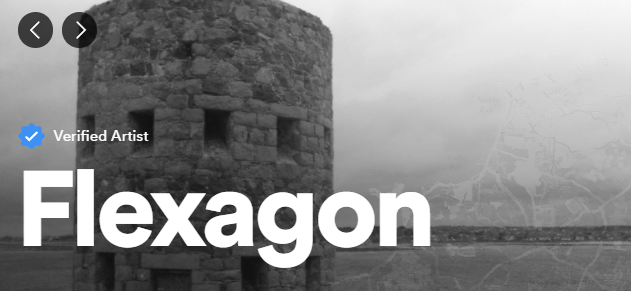 Flexagon Spotify profile and playlists